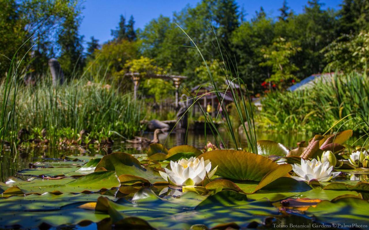 Ecolodge - Tofino Ngoại thất bức ảnh
